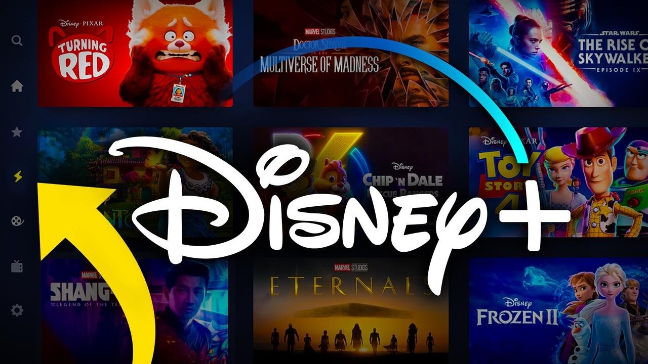 DISNEY PERFIL